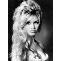 Brigitte Bardot Photo